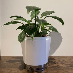 Meet your Posher, Gay